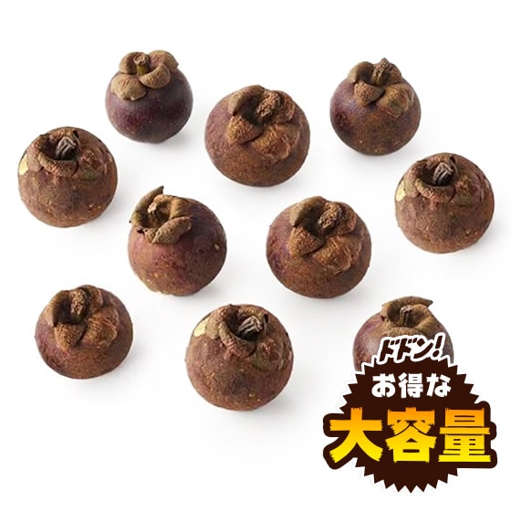 �y��e�ʁz�Ղ�Ղ鐶�}���S�X�`��(�^�C�Y)