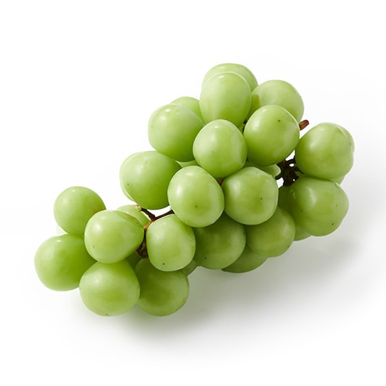�ґ�V���C���}�X�J�b�g(1�[ �R�����Y)