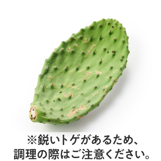 �T���T��X�e�[�L�ɁI�E�`���T�{�e��(���ꌧ�Y)