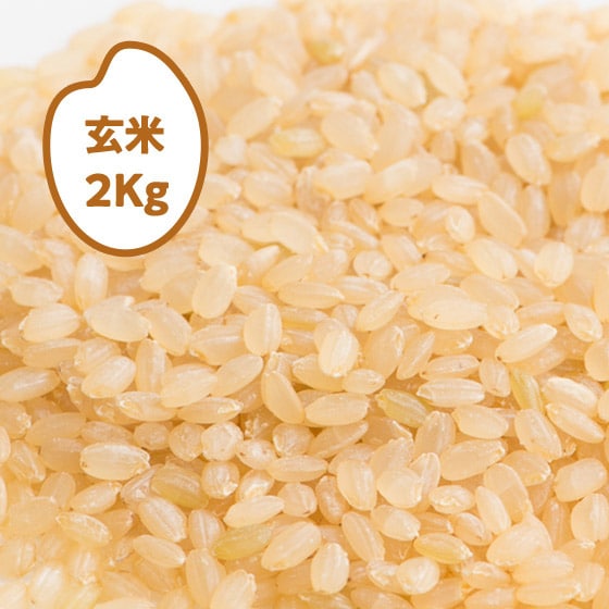 [2025�N�Y]�R�V�q�J�� �x�R������s�Y(����)2kg