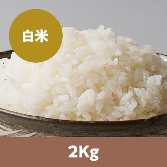 �y26�N�ė\��z�R�`���ЂƂ߂ڂꔒ��2kg