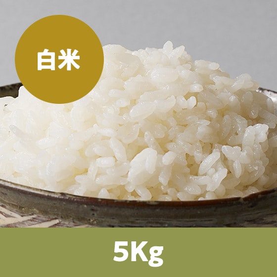 �y26�N�ė\��z�R�`���ЂƂ߂ڂꔒ��5kg