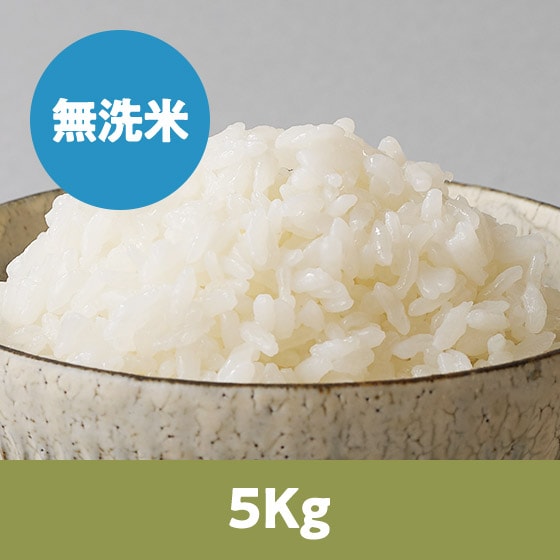 �y26�N�ė\��z�R�`����P������5kg
