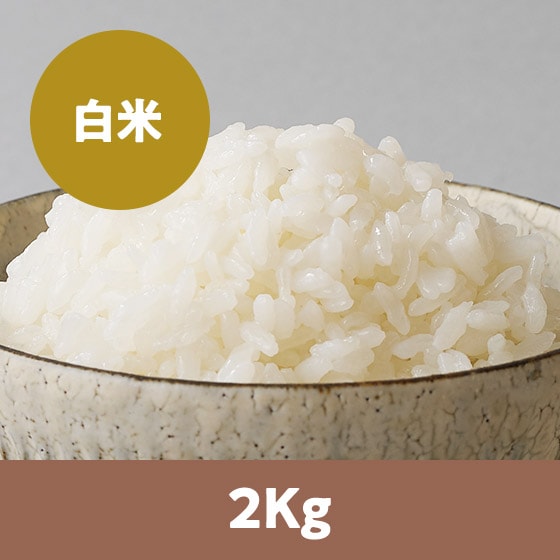 �y26�N�ė\��z�R�`����P����2kg