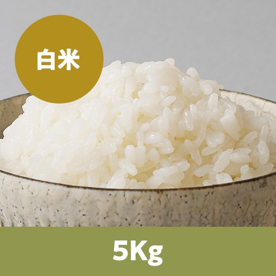 �y26�N�ė\��z�R�`����P����5kg