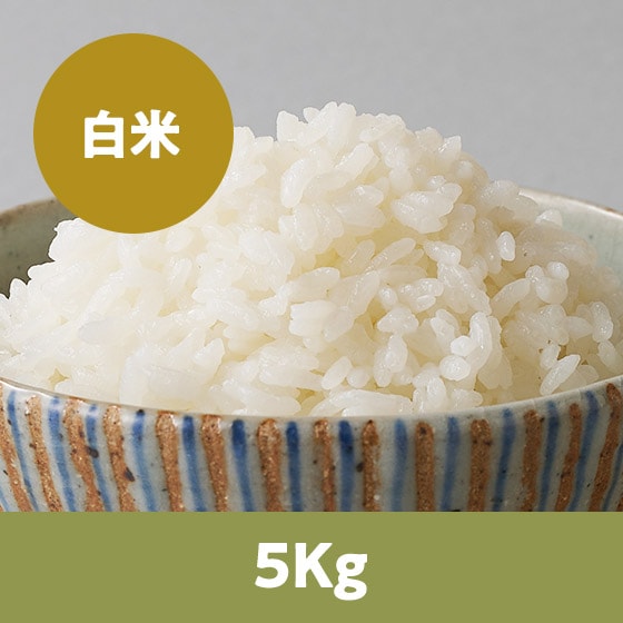 �y26�N�ė\��z�k�C���ȂȂڂ�����5kg