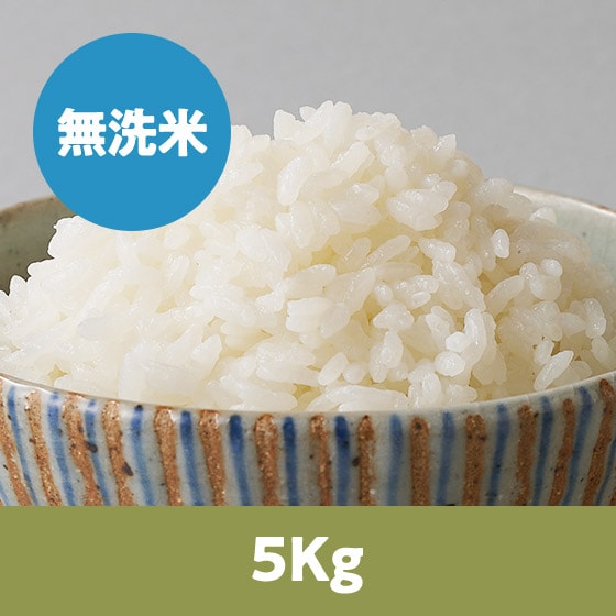 �y26�N�ė\��z�H�c���T�L�z�R�������(������)5kg
