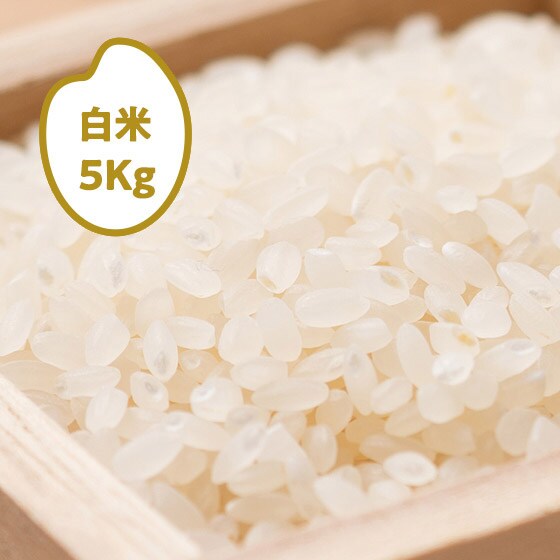 [���ē��w��Ȃ�]25�N �R�V�q�J�� �V������(����)5kg