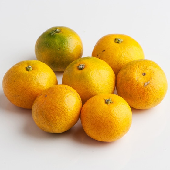 �݂��݂���(���茧�Y ���R����)