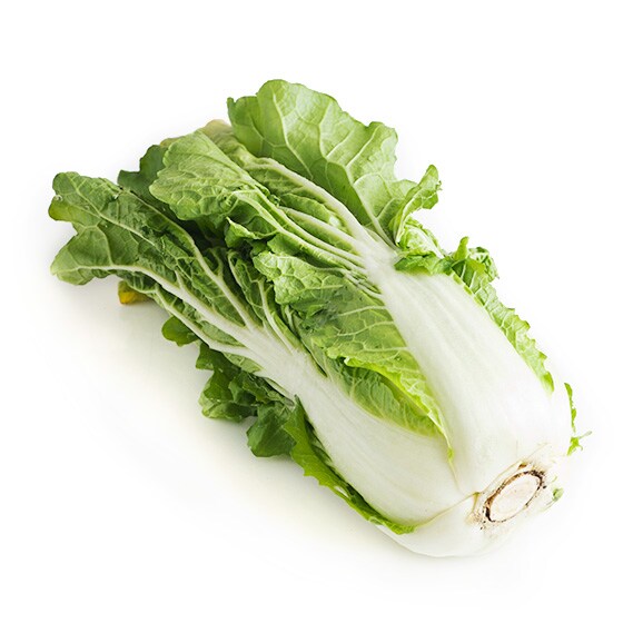 �x�r�[����(���茧�Y �I������)