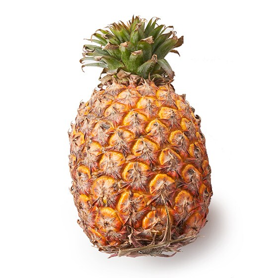 �͂��݂p�C�i�b�v��(��p�Y �s����)