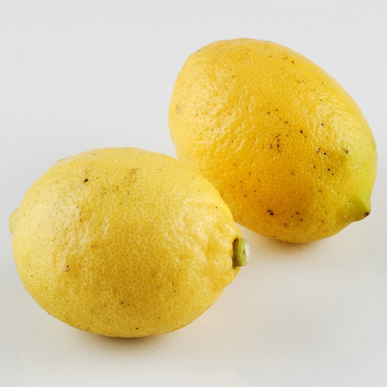 ���C���[������(�j���[�W�[�����h�Y)