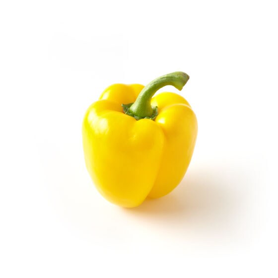 �p�v���J(�� �I�����_�Y ���m����)