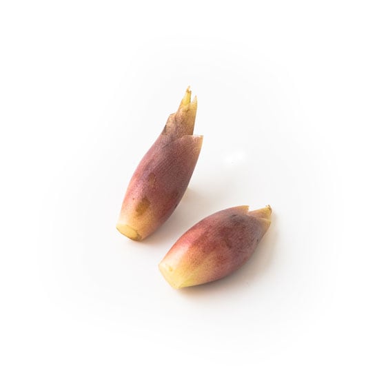 �݂傤��(���m���Y �k�c����)