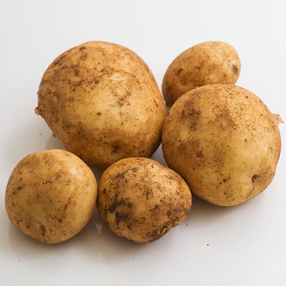 �y��������Ƃ�Ă��������z�ԓy�V���Ⴊ����(1kg)