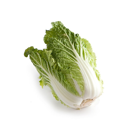 �T���_�x�r�[����(���茧�Y �I������)