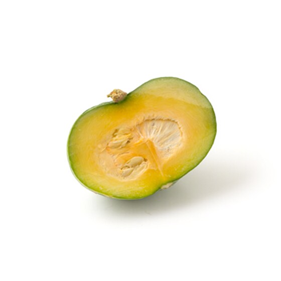 ���ڂ��R���[(140g�J�b�g ��B�Y �䂳��)