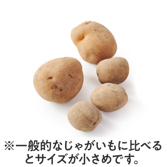 �z�N�|�I�I���Ⴊ����(�C���J�̂߂��� �k�C���Y)