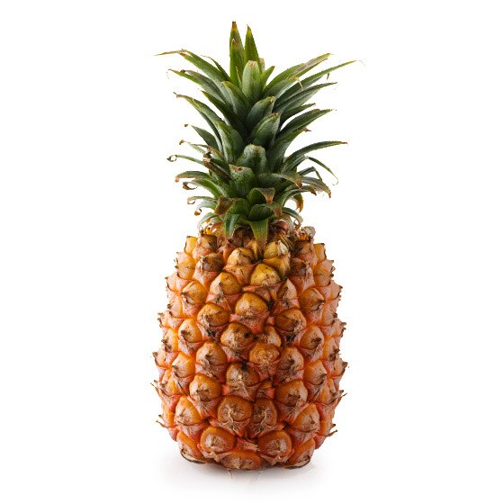 �p�C�i�b�v��(��p�Y ������)