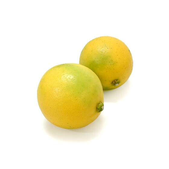 ���C���[������ (2�� �j���[�W�[�����h�Y)