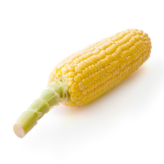 �ɊÂƂ����낱��(��ʌ��Y ���{����)