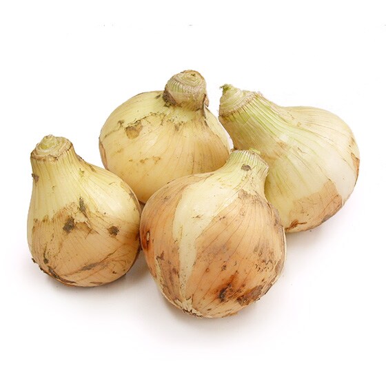 �ӂ��낢�ʂ˂�1kg(�������Y �̂���)