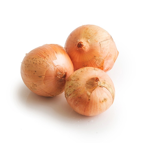�ʂ˂�(�k�C���Y �_�c����)