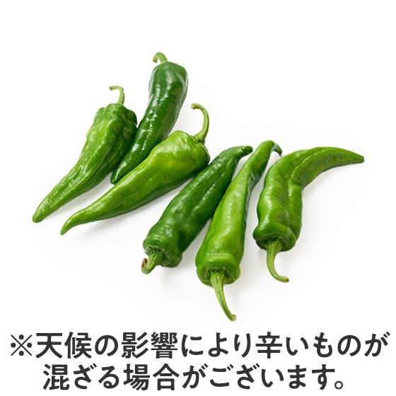 ���莛�Ƃ����炵(�a�̎R��)