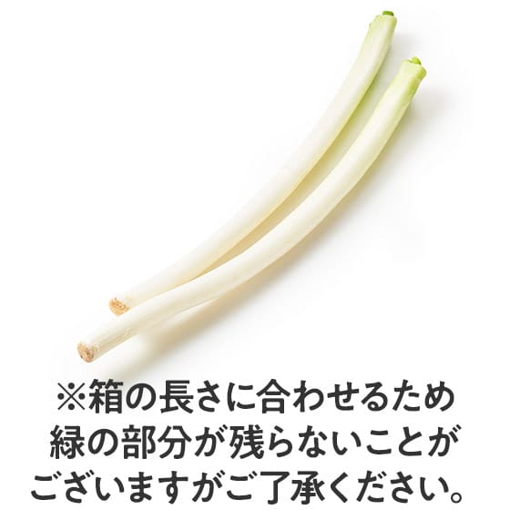 �[�J�̔��˂�(��ʌ��Y �g������)