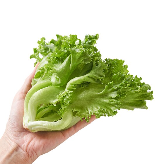�݂��݂������ď_�炩���t�������^�X�i�_�ސ쌧�Y�j
