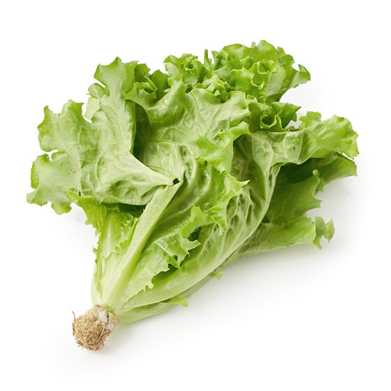 ���炩�V���L�[���^�X(�����x�Y �{������)