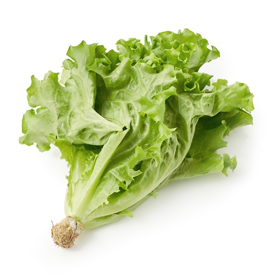 ���炩�V���L�[���^�X(�����x�Y �{������)