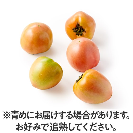 食べきりサイズの中玉!火の国トマト(熊本県産)