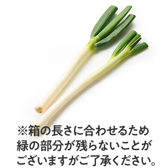 �[�J�̊Â˂�(���˂� ��ʌ��Y �A������)