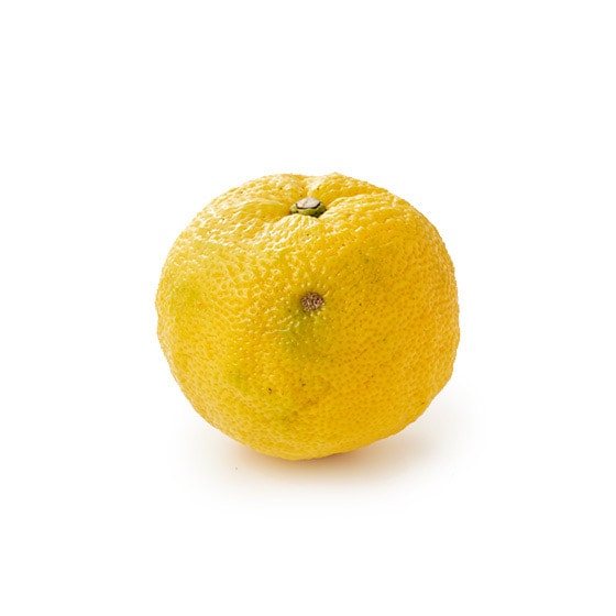 �����ɍ���̃A�N�Z���g�� �䂸1��(���m���Y)