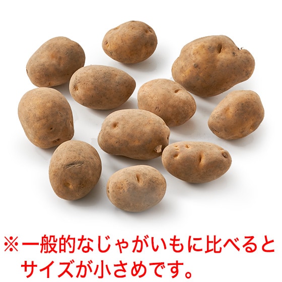 �y�ӂ��낢��e�ʁz�I���Ⴊ����1kg(�C���J�̂߂���)