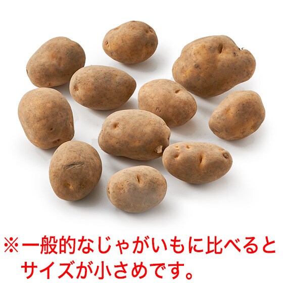 �y�ӂ��낢��e�ʁz�I���Ⴊ����1kg(�C���J�̂߂���)