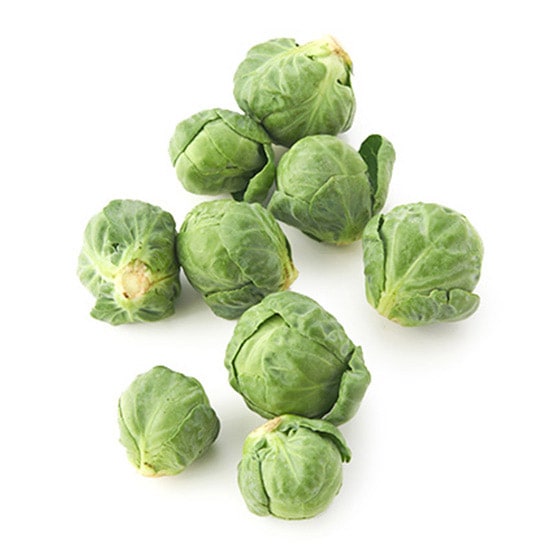 �Ă��Ă��ύ���ł��I��L���x�c(�É��� ���c����)