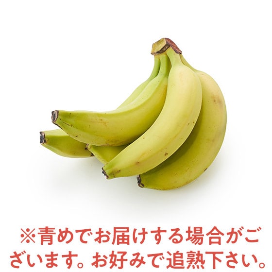[�����Ƃ����ݕ���]�L�@�͔| �u���o�i�i(���L�V�R�Y)