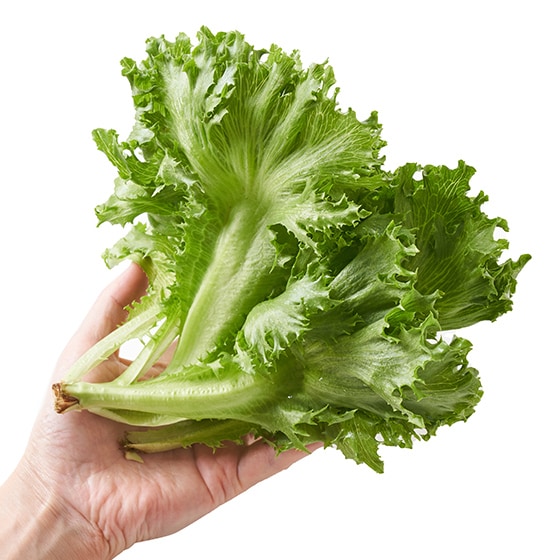 ��A���v�X�̐��ň���� �t�������^�X60g-(�R�����Y)