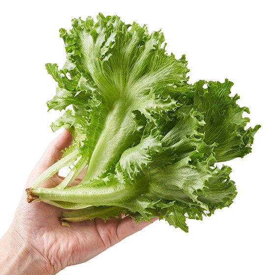 ��A���v�X�̐��ň���� �t�������^�X60g-(�R�����Y)