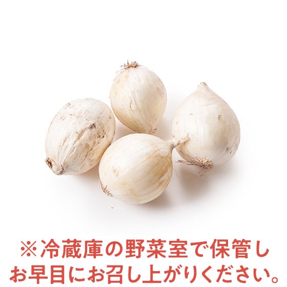 �T���_�łǂ����I����P�ʂ˂�(�k�C���Y)