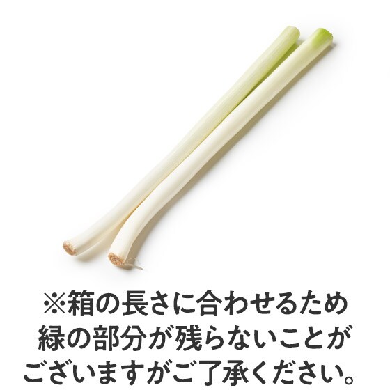 �v�킸��ڂڂ� �@�˂��}�h���i(��ʌ��Y)