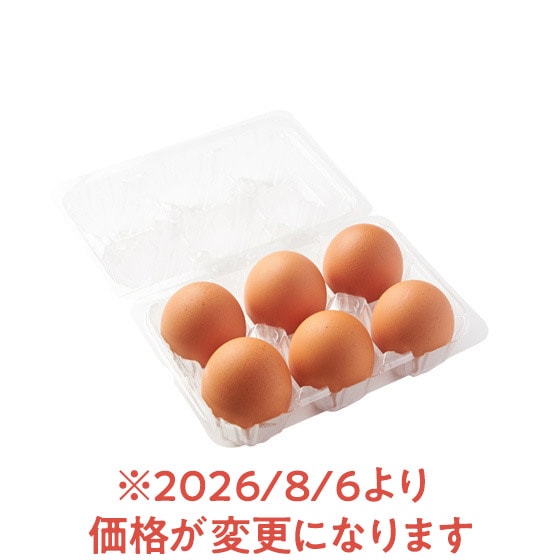 �[�w���炿�@�x�m�R�[���܂��i6�j