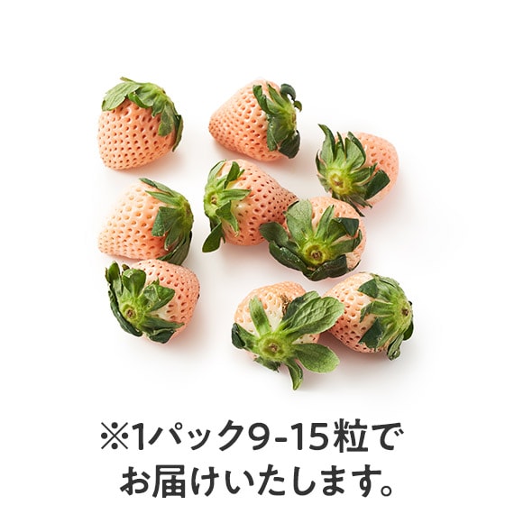 �����Ղ�y���߂�I�D�����Â� �W�Ⴂ����(���ꌧ�Y)