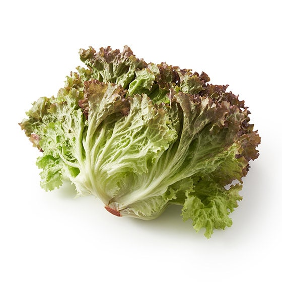 �ʂ�N�₩ �T�j�[���^�X(��錧�Y)