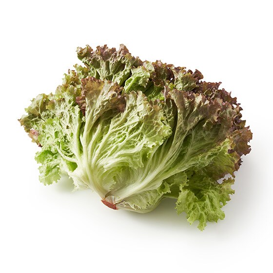 �ʂ�N�₩ �T�j�[���^�X(��錧�Y)