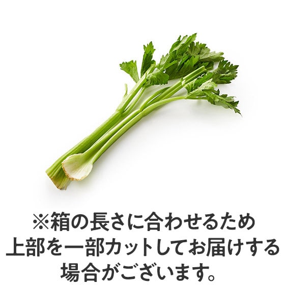 �Y��ȑ�n�ň���� �u�₩�Z����(�k�C���Y)