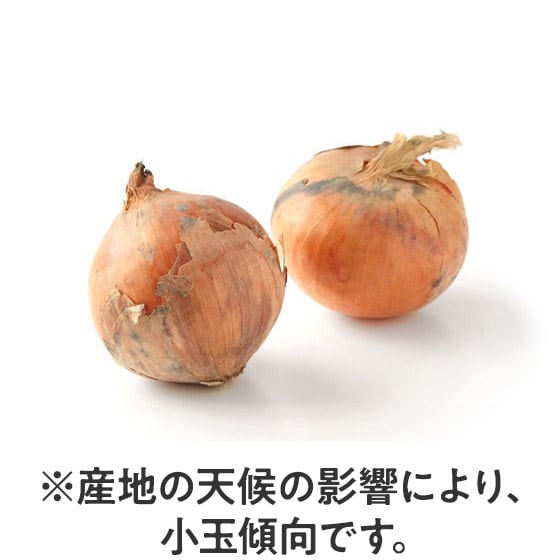 北海道の大地で育った 玉ねぎ(北海道産)