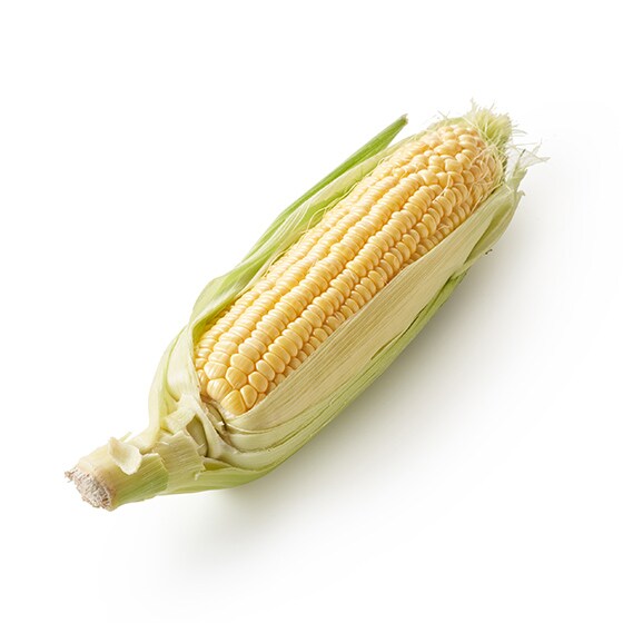 �r���R�̘[�ň���� �f�U�[�g�Ƃ����낱��(�k�C���Y)